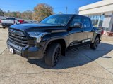 New 2025 Toyota Tundra SR5 image 3