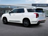 New 2025 Hyundai Palisade Calligraphy image 4