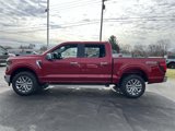 New 2025 Ford F150 XLT w/ Equipment Group 302A MID image 4