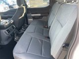 New 2025 Ford F150 XLT w/ Equipment Group 303A High image 6