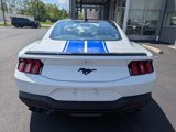 Used 2024 Ford Mustang Coupe image 4