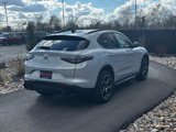 New 2025 Alfa Romeo Stelvio Sprint image 5