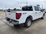 New 2025 Ford F150 XL w/ Equipment Group 103A High image 4
