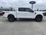 New 2025 Ford F150 Tremor w/ Bed Utility Package image 3
