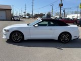 Used 2023 Ford Mustang Premium image 5