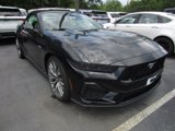 New 2025 Ford Mustang GT Premium image 4