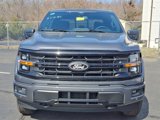 New 2025 Ford F150 XLT w/ Equipment Group 302A MID image 2