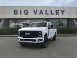 New 2025 Ford F250 Platinum image 2