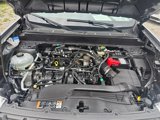 Used 2022 Ford Maverick XL w/ Equipment Group 100A Standard image 3