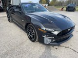 Used 2022 Ford Mustang GT Premium w/ Equipment Group 401A image 3