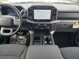 New 2025 Ford F150 XLT w/ Equipment Group 302A MID image 2