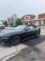 New 2025 Ford Mustang GT Premium w/ GT Performance Package image 5