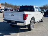 New 2025 Ford F150 XLT w/ Equipment Group 302A MID image 3