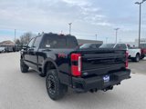 New 2025 Ford F350 Platinum image 3