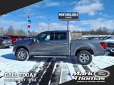 New 2025 Ford F150 XLT w/ Equipment Group 302A MID image 2