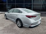 Used 2019 Hyundai Sonata SE image 3