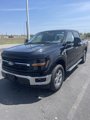 New 2025 Ford F150 XLT image 2