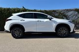 New 2026 Lexus NX 350 AWD w/ Premium Package image 4