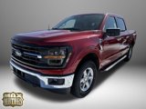 New 2025 Ford F150 XLT w/ Equipment Group 301A Standard image 3