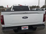 New 2025 Ford F150 XLT w/ Equipment Group 303A High image 6