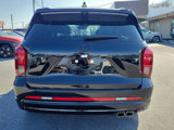 New 2025 Hyundai Palisade Calligraphy image 5