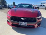 New 2025 Ford Mustang Premium image 2