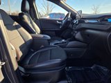 Used 2023 Ford Escape ST-Line Select image 4