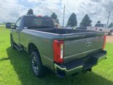 New 2025 Ford F250 XLT w/ Snow Plow/Camper Package image 5