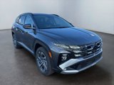 New 2025 Hyundai Tucson Limited image 3