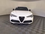 New 2025 Alfa Romeo Stelvio Sprint w/ Convenience Package image 5