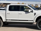New 2025 Ford F150 Lariat w/ Equipment Group 502A High image 5