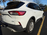 Used 2020 Ford Escape SE image 5