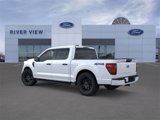 New 2025 Ford F150 STX w/ STX Black Appearance Package image 4