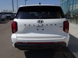 New 2025 Hyundai Palisade Calligraphy image 5
