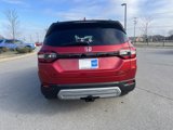 New 2025 Honda Pilot TrailSport image 3