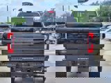 New 2025 Ford F250 Platinum image 5
