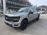 New 2024 Ford F150 XLT w/ Equipment Group 302A MID image 6
