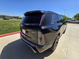 New 2026 Cadillac Vistiq Sport image 5