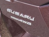New 2025 Subaru Outback Limited image 5
