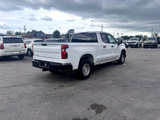 Used 2020 Chevrolet Silverado 1500 W/T w/ WT Value Package image 5