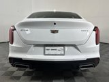 Used 2024 Cadillac CT4 Luxury w/ Sun And Sound Package image 5