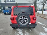 New 2025 Jeep Wrangler Sahara w/ Technology Group image 5