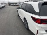 New 2025 Honda Odyssey Touring image 4