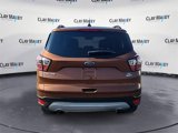 Used 2017 Ford Escape SE w/ SE Leather Comfort Package image 4