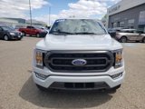 Used 2023 Ford F150 XLT w/ Equipment Group 302A High image 3