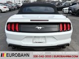Used 2020 Ford Mustang Premium image 4