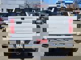 New 2025 Chevrolet Silverado 1500 LT w/ Texas Edition Plus image 4