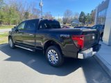 New 2025 Ford F150 XLT w/ Equipment Group 303A High image 3