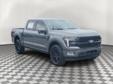 New 2025 Ford F150 Platinum image 4