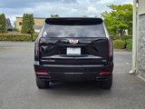 New 2025 Cadillac Escalade Sport image 5